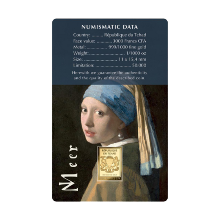 查德 戴珍珠耳環的少女