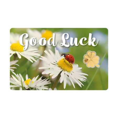 查德 2024 祝你好運 四葉草