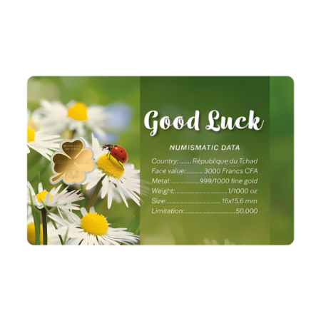 查德 2024 祝你好運 四葉草