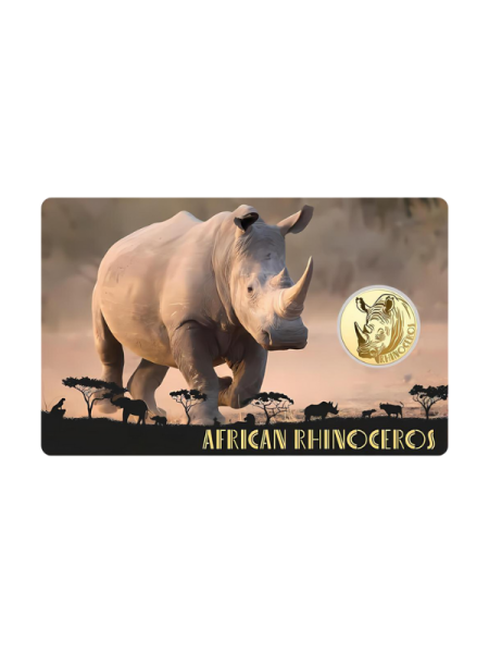 查德 2024 非洲 犀牛