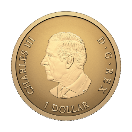 加拿大 2026 楓葉標誌 30週年紀念